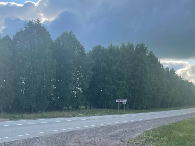 Прокуратура заставила нанести разметку на трассе в Молчановском районе