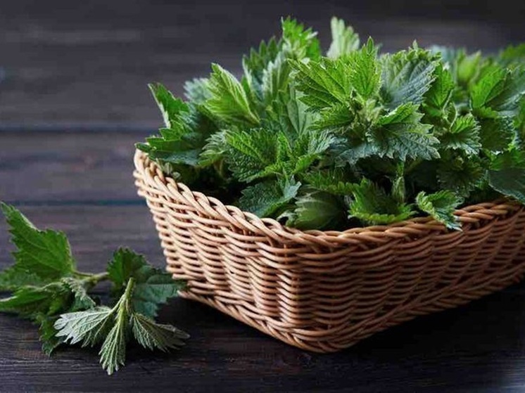 11 июля: что делать с крапивой и откуда у иконы Божией Матери "Троеручицы" появилась третья рука