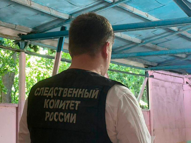 Воронежский следователь провел урок безопасности для подростков