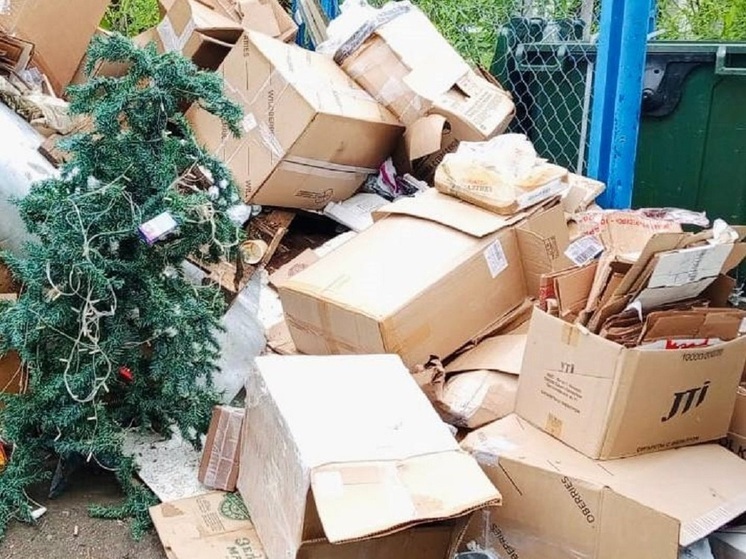 В Салехарде зафиксировали новый рекорд по длительности празднования Нового года