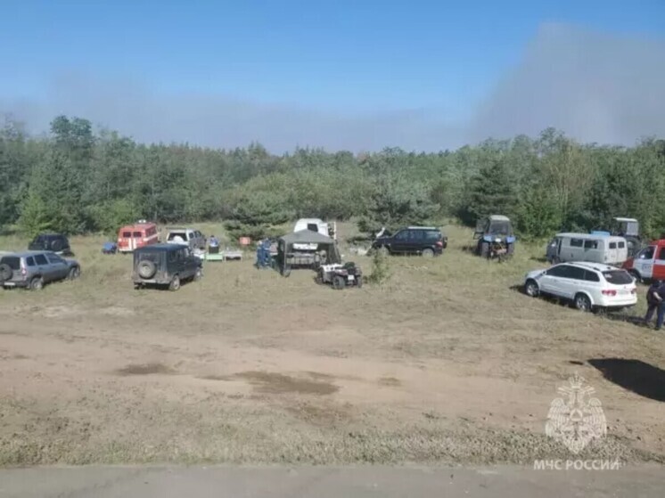 В Каменском районе ликвидировали лесной пожар