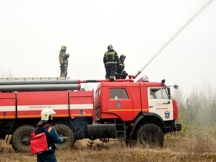 Под Воронежем пожар уничтожил 30 гектаров пшеницы
