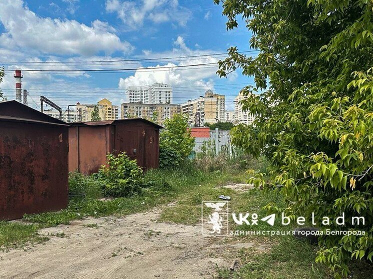 Белгородцев предупредили о демонтаже гаражей на улице Северо-Донецкой