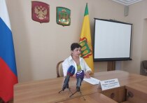 Помощь семье в том, чтобы она как можно раньше отважилась на решение завести ребенка, как и в целом вопрос повышения рождаемости, – ключевые задачи, которые стоят сейчас перед властями Пензенской области. О том, какие меры в сфере здравоохранения принимаются в настоящий момент, на брифинге в региональном правительстве рассказала заместитель министра здравоохранения Пензенской области Марина Воробьева. 