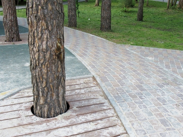 В Кургане появится новое благоустроенное место для отдыха горожан