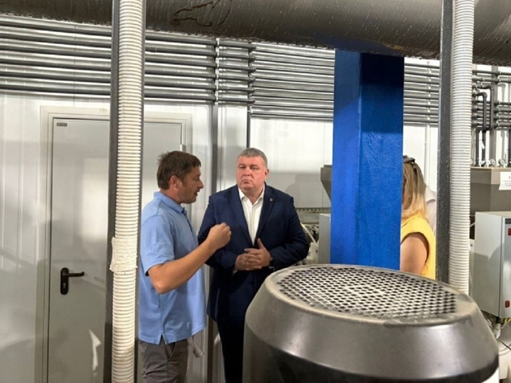 Беспалов: Новая станция водоочистки в Большой Туле обошлась в 948 млн руб