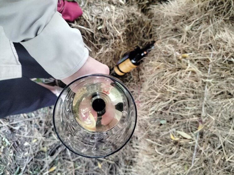 «Виноград» в 2025 году: отзывы псковичей и туристов