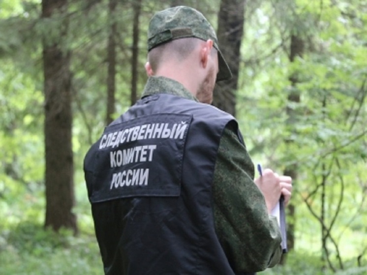 В Юрьевце 18-летний парень куском бетонной плиты насмерть забил пожилую женщину