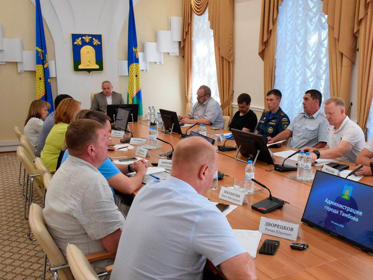 В Тамбове начнется демонтаж пешеходного моста