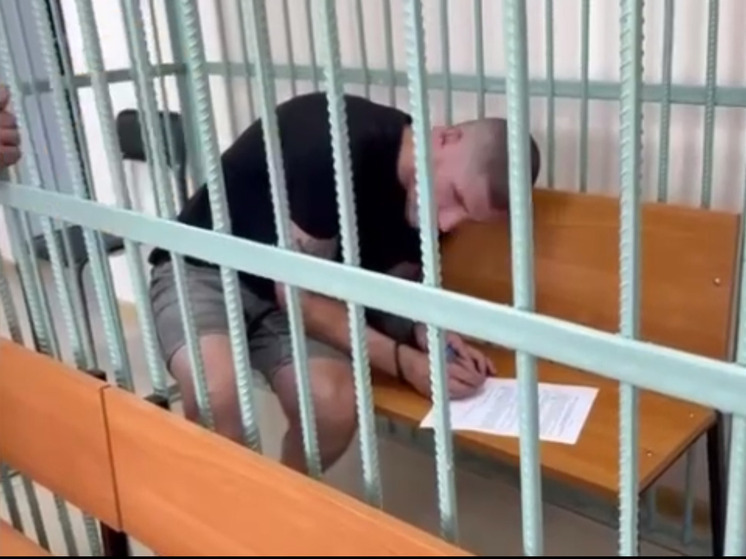 Мужчину, кидавшегося на охранника парка в Башкирии, арестовали на две недели