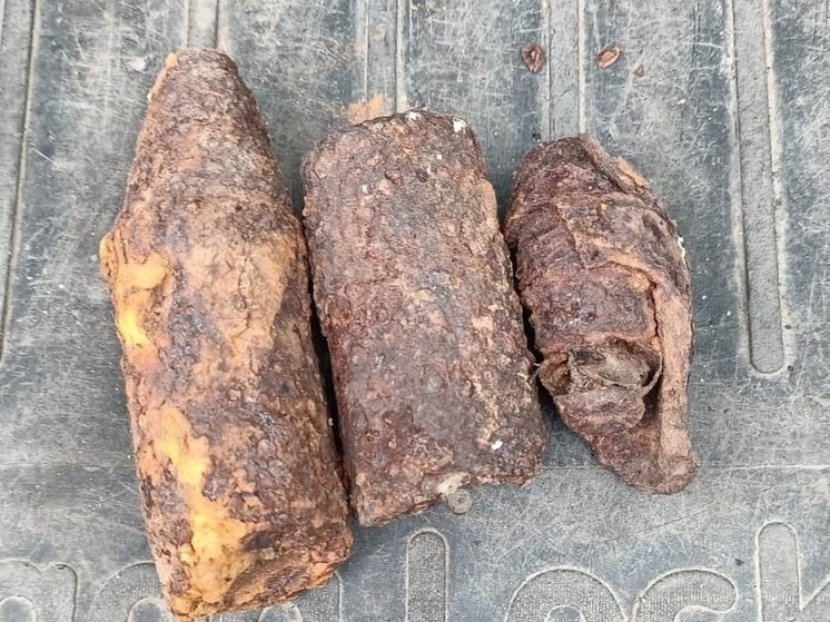 В калужском лесу обезвредили артснаряд