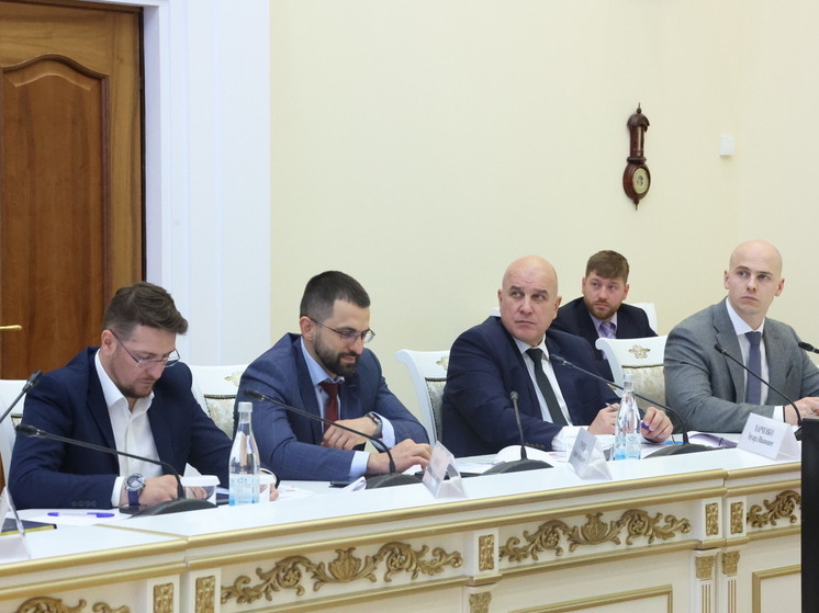 Вице-губернатор Антон Емельяненко обсудил вопросы улучшения инвестиционного климата с топ-менеджментом АСИ