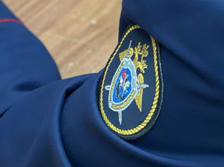 Новая стипендия будет носить имя сотрудника Тайной канцелярии Петра Великого