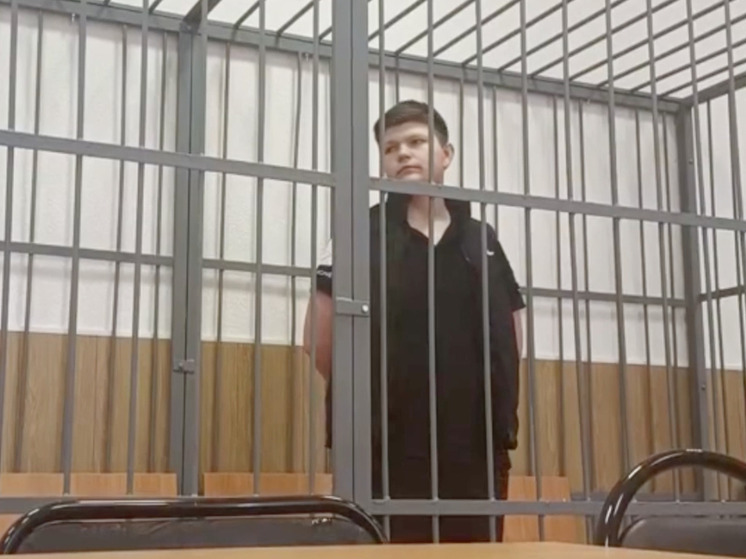 Троих молодых людей арестовали за похищение и избиение знакомого под Петербургом