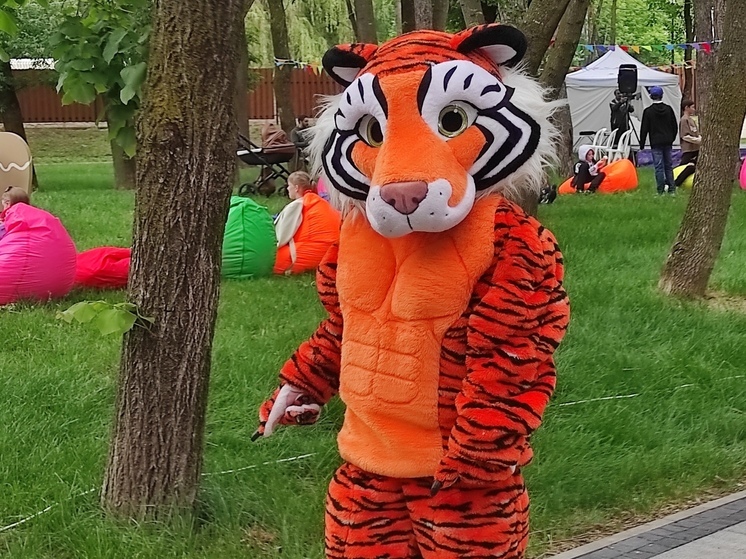 Сказочные герои помогли жительнице ставропольского села с помощью соцконтракта открыть бизнес