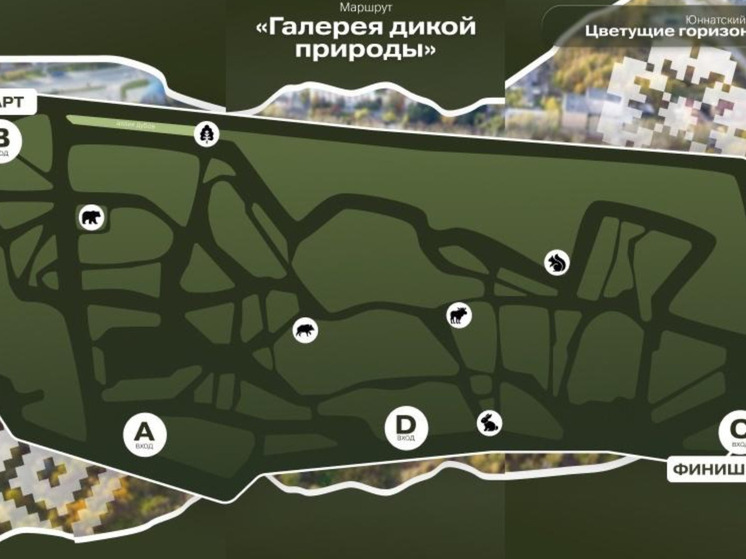 В Тюмени появился новый экологический маршрут