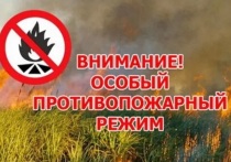 В Кетченеровском районном муниципалитете после случившегося днём сильного степного пожара ввели особый противопожарный режим. 