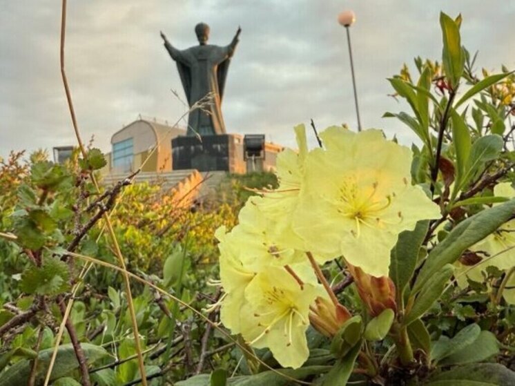 Небольшой дождь в пятницу возможен на востоке Чукотки