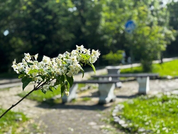 В Хабаровске 11 июля осадков не ожидается