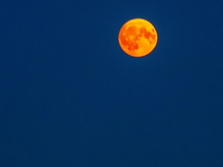 The Deer Moon has risen over Russia
