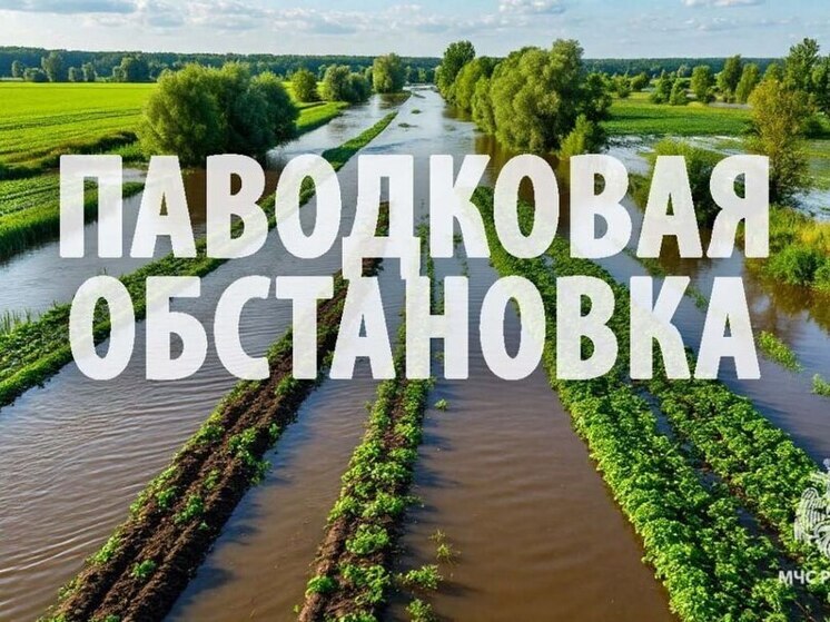 В Хабаровском крае все подтопленные дороги освободились от воды