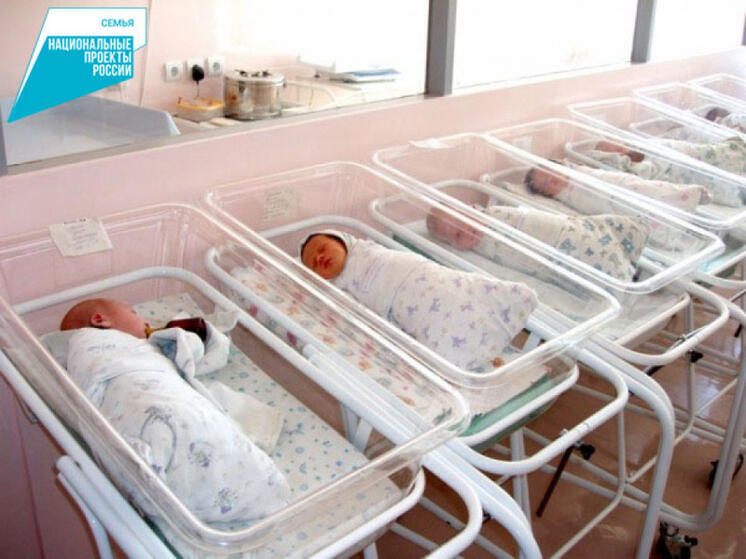 За 2025 год 154 малыша родились в Хабаровском крае по программе ЭКО