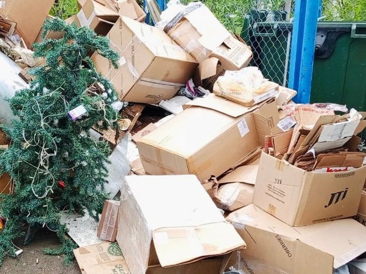 Житель Салехарда закончил праздновать Новый год 10 июля и выбросил елку