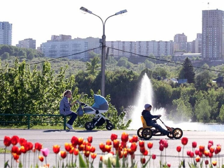 По итогам голосования победителями признали 144 общественных пространства