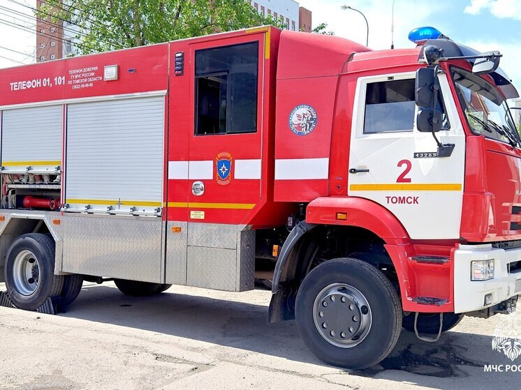 Томские спасатели ликвидировали два пожара за сутки