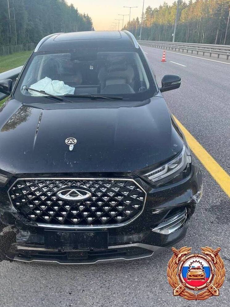 В Тверской области женщина пострадала в ДТП на М-11