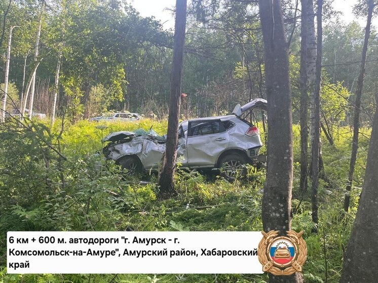 Стало плохо за рулем: водитель в Хабаровском крае получил тяжелые травмы