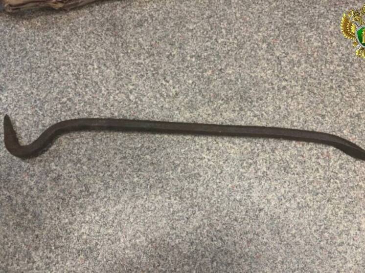 В Хабаровском крае мужчина получил срок за нападение на владелицу приюта для животных