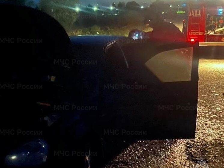 Ночью в Калужской области тушили автомобиль