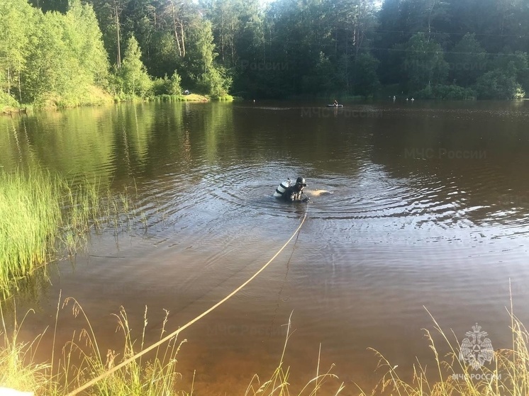 Под Вязьмой на Русятке утонул мужчина