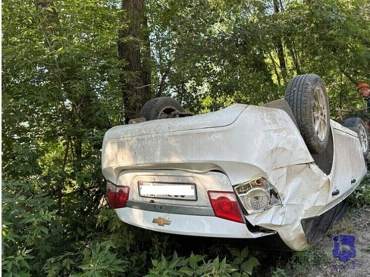 Под Самарой 8-летняя девочка пострадала при столкновении Chevrolet с деревом