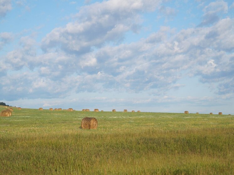Усть-Абаканский район лидирует по заготовке сена в Хакасии