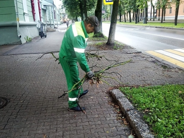 С территории Великого Новгорода убрали более 20 поваленных бурей деревьев
