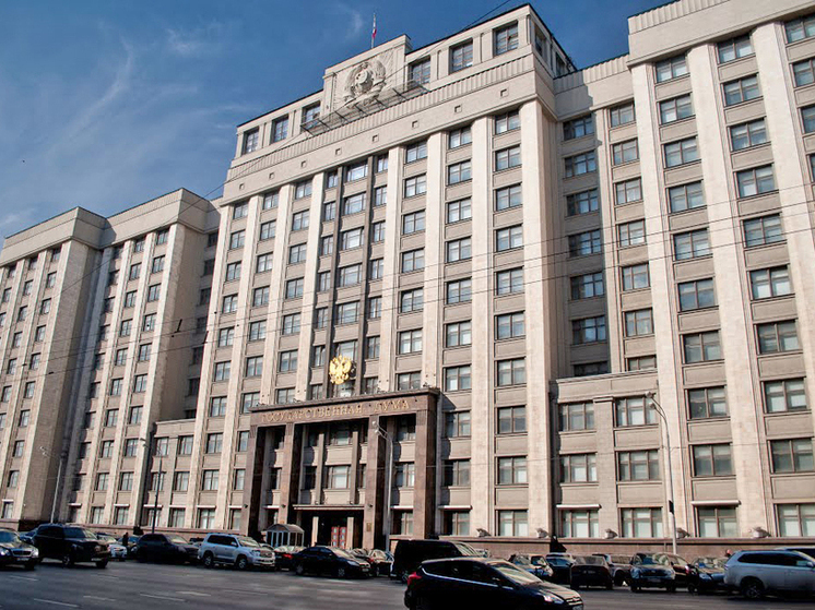 Госдума приняла закон, инициированный донскими депутатами