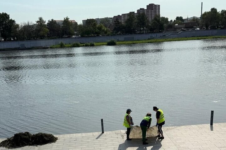 «Пензавтодор» поддерживает чистоту набережной реки Суры