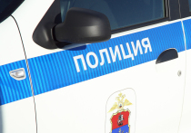 67-летний житель подмосковной Электростали задержан за убийство своей подруги с расчленением трупа