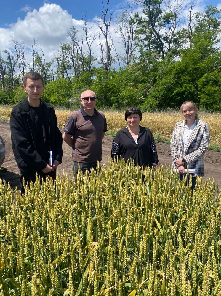 В Минсельхозе Ставрополья проходит стажировка участников программы «Герои Ставрополья»