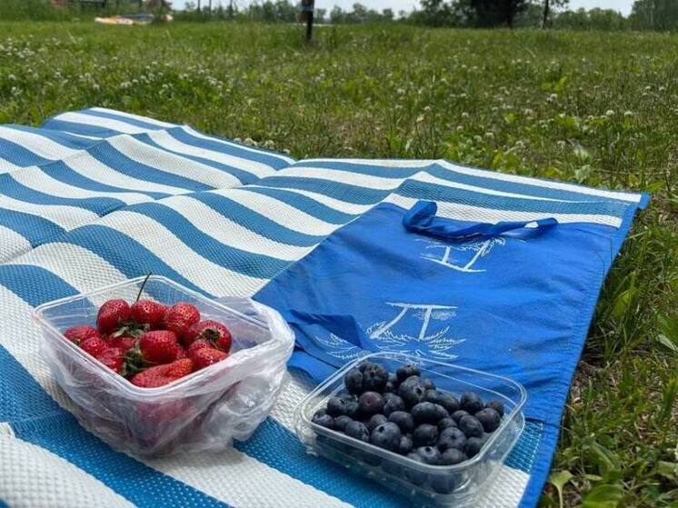 Пензенцы узнали о самых распространенных аллергенах дачного сезона
