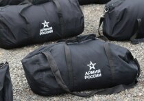 Бывший глава Камня-на-Оби, которого ранее заключили под стражу по обвинению в совершении ДТП со смертельным исходом, подписал контракт с Минобороны России на прохождение военной службы