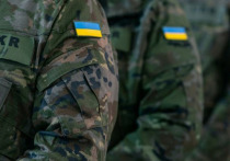 Оборона ВСУ на Южнодонецком направлении фактически пала, и теперь на линии боевого соприкосновения действуют лишь тыловые части, заявил в интервью ТАСС советник главы ДНР Игорь Кимаковский