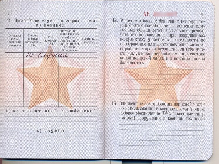 В Саратовской области аннулировали паспорта четверых уклонистов от армии