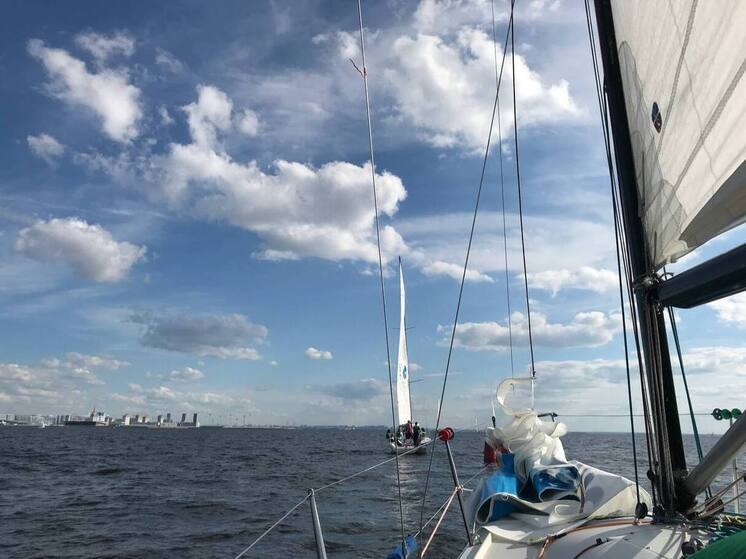 В Пионерском проводят парусную регату на кубок космонавта Алексея Леонова