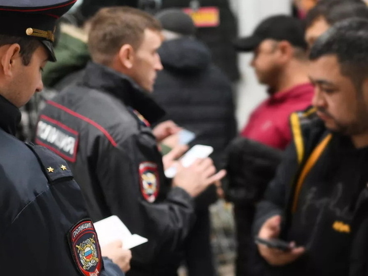Почти 7 тыс мигрантов-нарушителей задержали в Нижегородской области