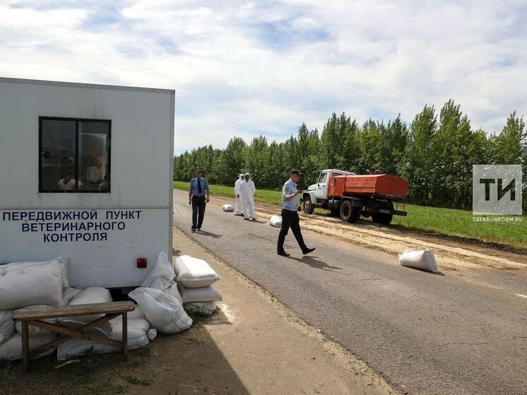В Новошешминском районе объявлен карантин из-за выявления бешенства среди животных