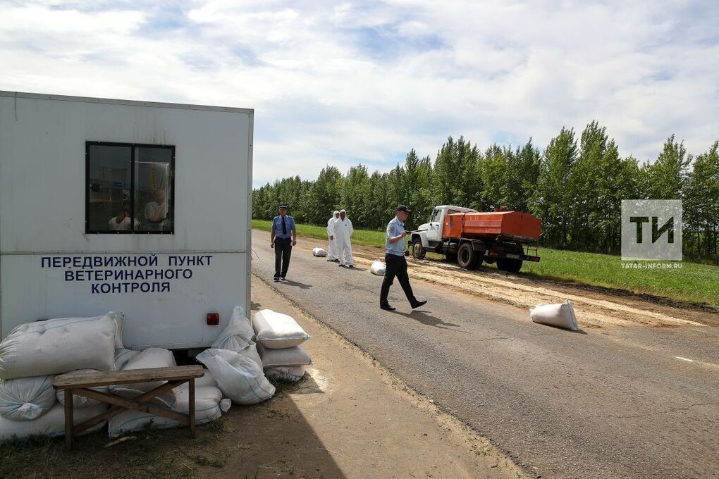 В Новошешминском районе объявлен карантин из-за выявления бешенства среди животных