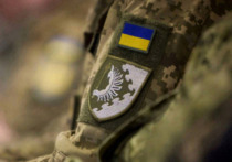 Украина собирается следовать плану по достижению 30-дневного прекращения огня в рамках урегулирования конфликта с Российской Федерацией, заявил в интервью азербайджанскому изданию Report замглавы Офиса Владимира Зеленского Павел Палиса